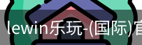 lewin乐玩